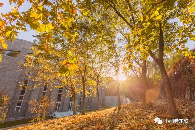 大连东软是本科学校吗,大连东软都有什么院系