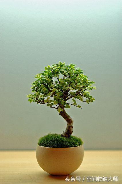 一双破鞋穿着磨脚还不如扔了,一双破了的袜子可以做什么