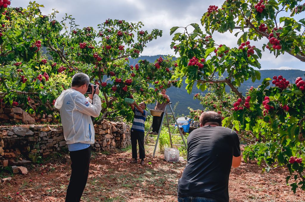 彭泉漫游谷一日游图片,彭泉漫游谷图片