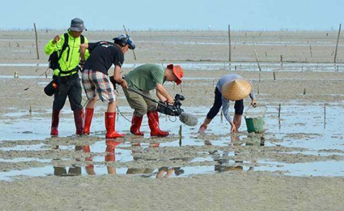 沙蟹洞抓沙蟹技巧,角眼沙蟹中华沙蟹
