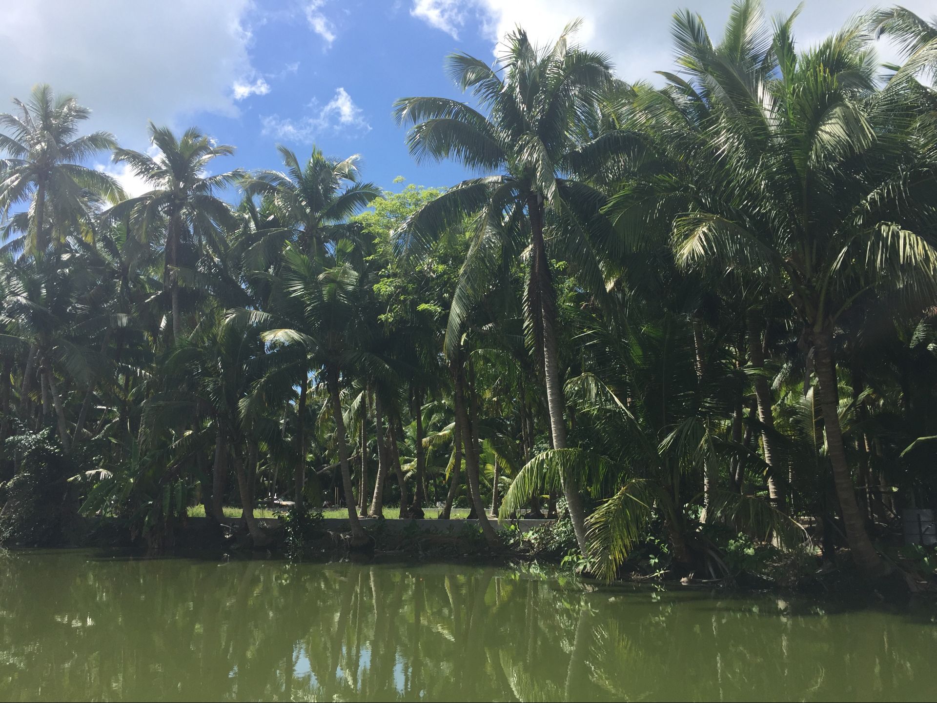候鸟在海南过冬怎么在网上找房子,北方候鸟海南过冬