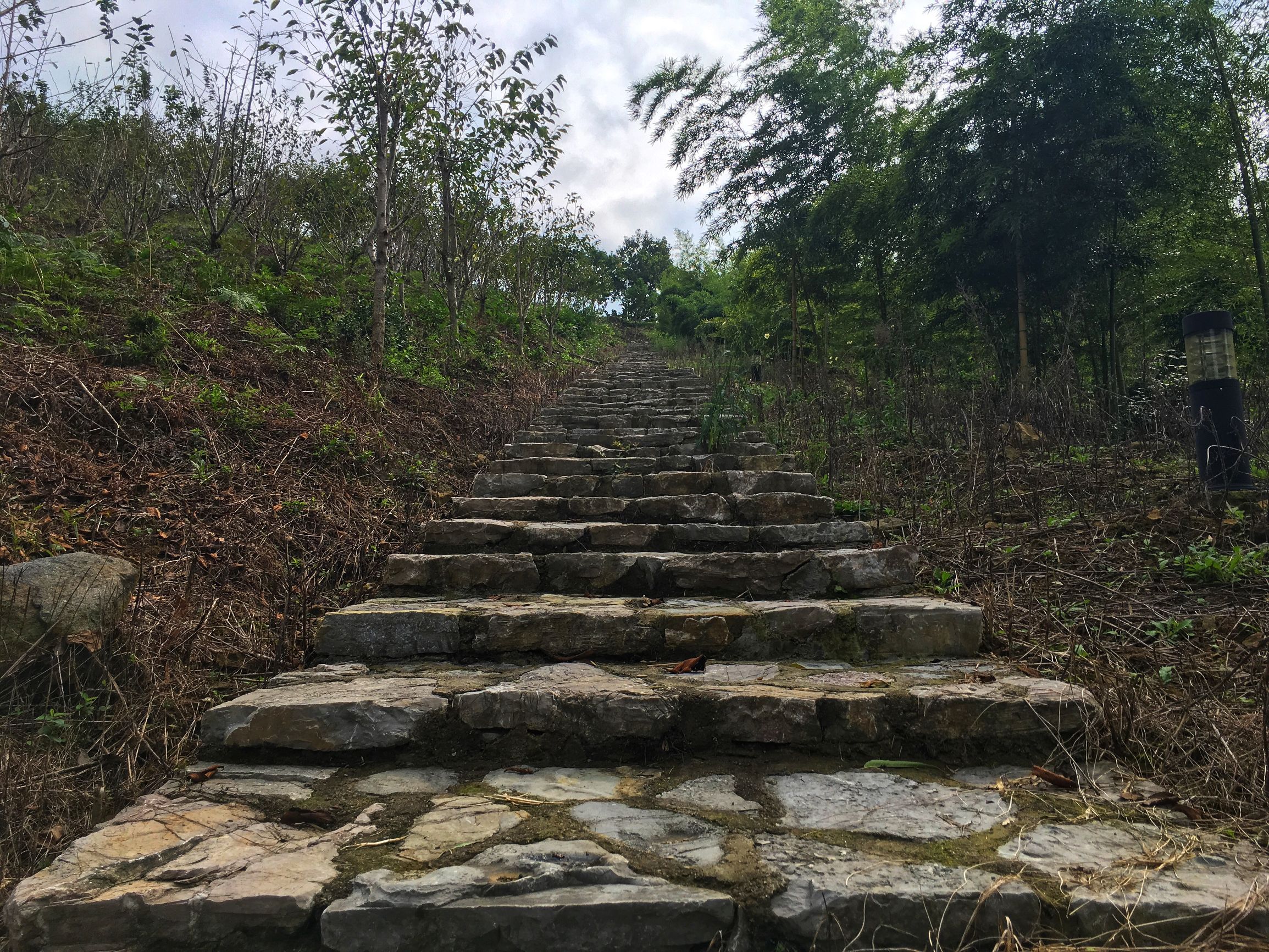 亲爱的客栈第1期开什么民宿,亲爱的客栈中卫民宿