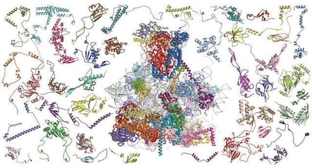 冷冻电镜哪年获得诺贝尔奖,冷冻电镜诺奖获得者的贡献