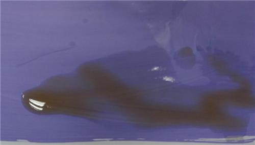 净味的乳胶漆可靠吗,乳胶漆净味排行榜