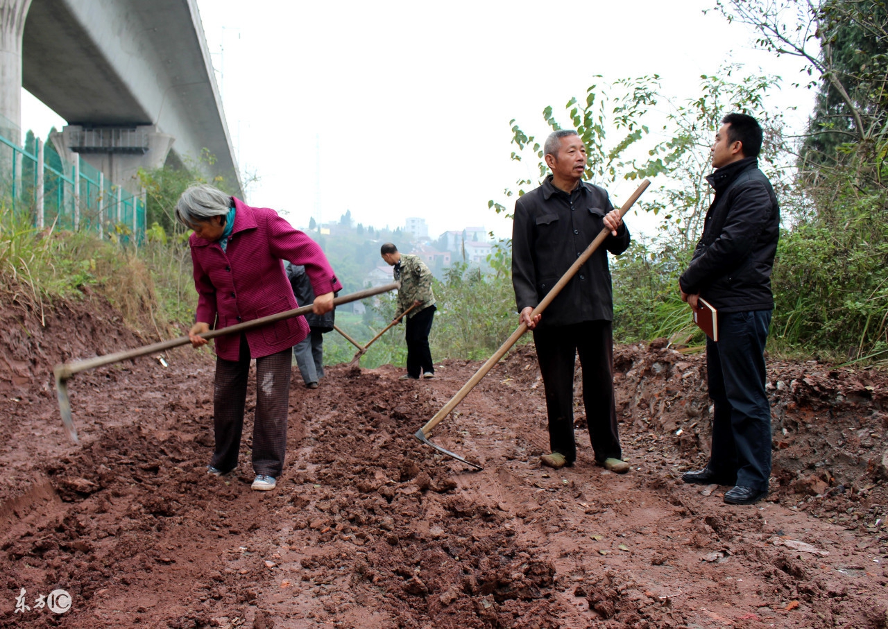 修路占用农村耕地补偿标准哪里查,农村修路占用良田补偿标准是多少