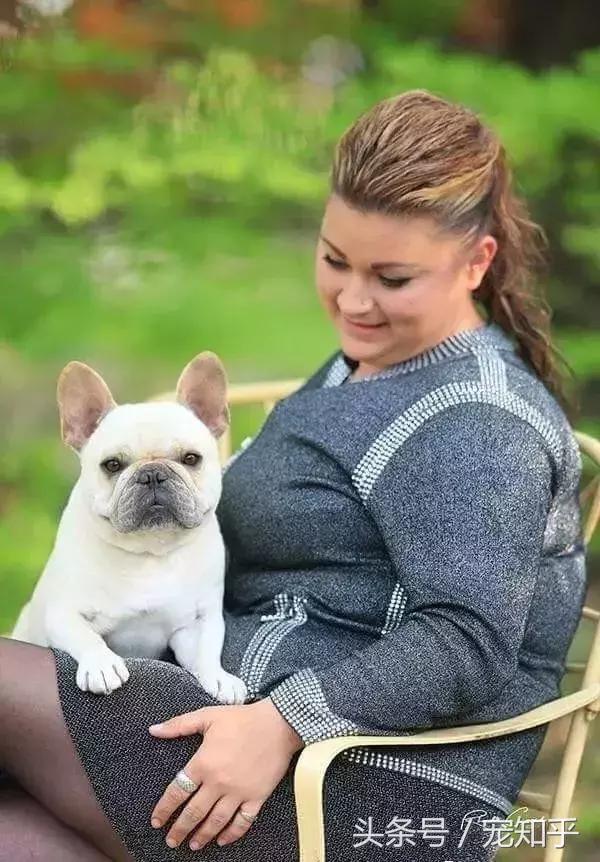 世界名犬英国,世界名犬杜高犬