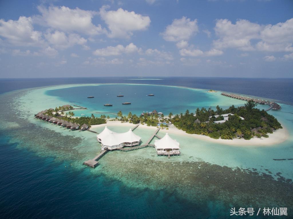 马尔代夫哪个岛有深潜,马尔代夫的潜水胜地