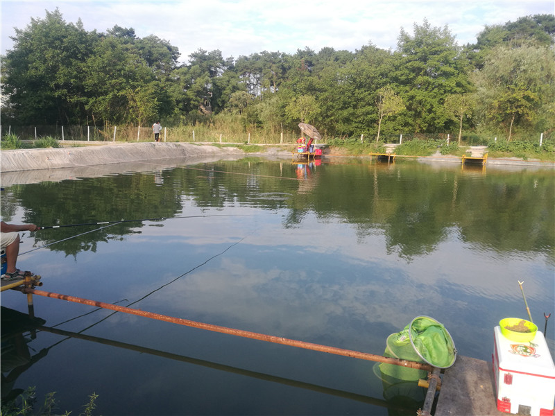 桂林象山区钓鱼黑坑,广西桂林钓鱼黑坑