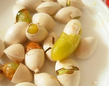 银杏果实可以吃吗怎么吃,银杏果为什么不能多吃