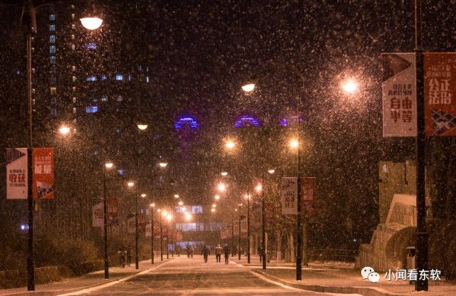 大连东软是本科学校吗,大连东软都有什么院系