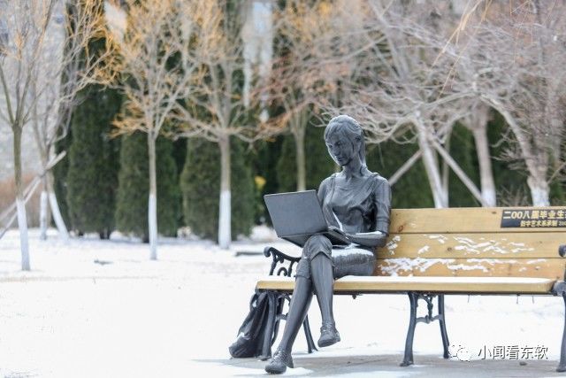 大连东软是本科学校吗,大连东软都有什么院系