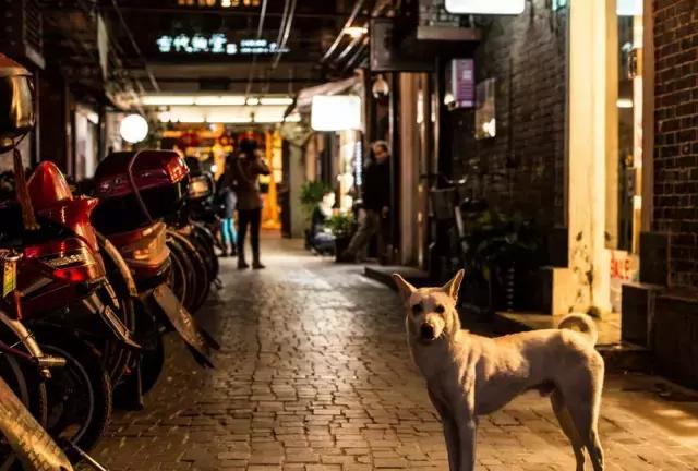 大家好这是我的家乡淮安英文,欢迎来我的家乡上海