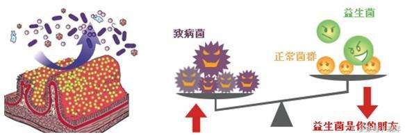 头孢白霉素副作用有哪些症状,各种头孢类药物的副作用