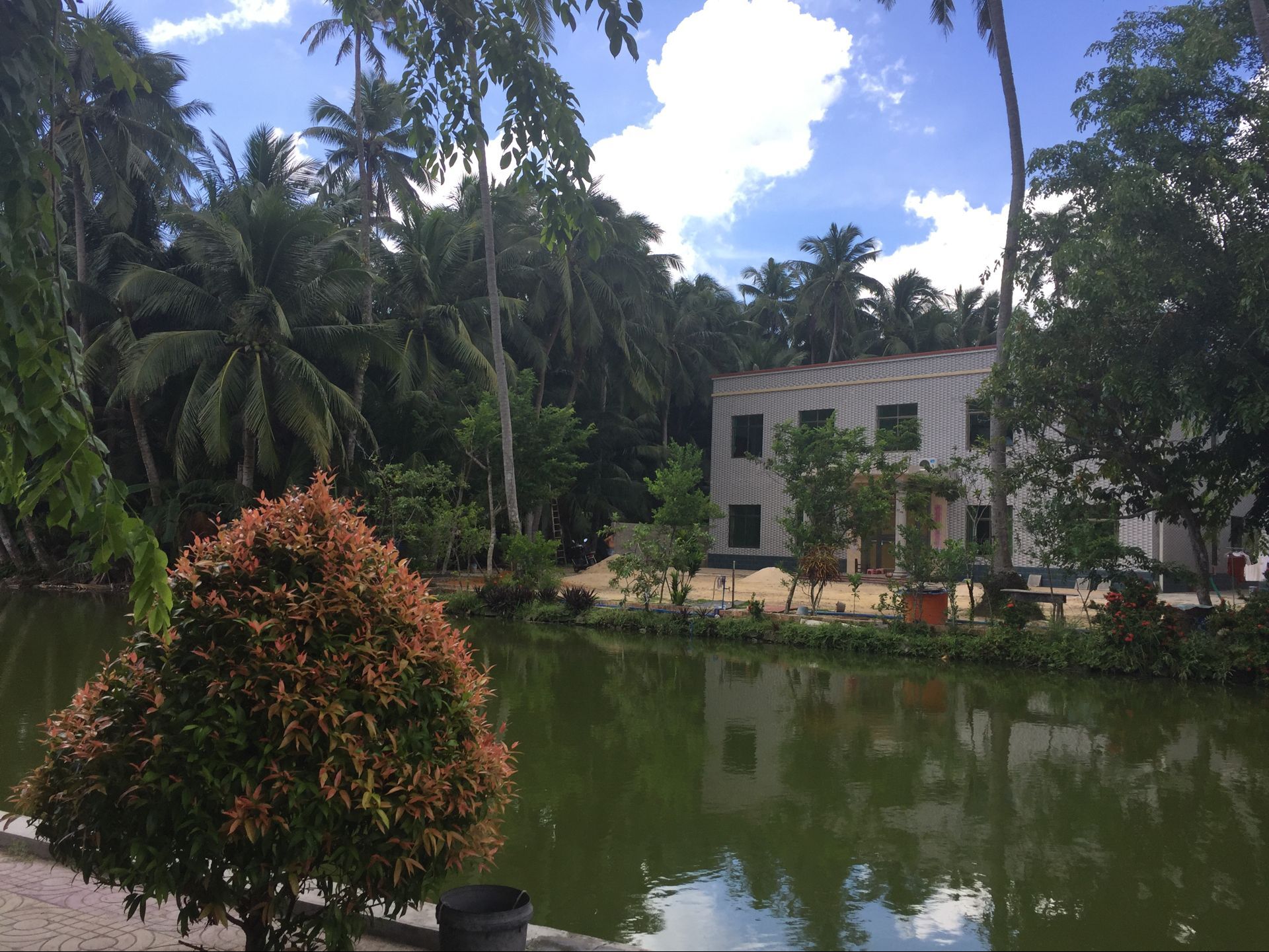 候鸟在海南过冬怎么在网上找房子,北方候鸟海南过冬