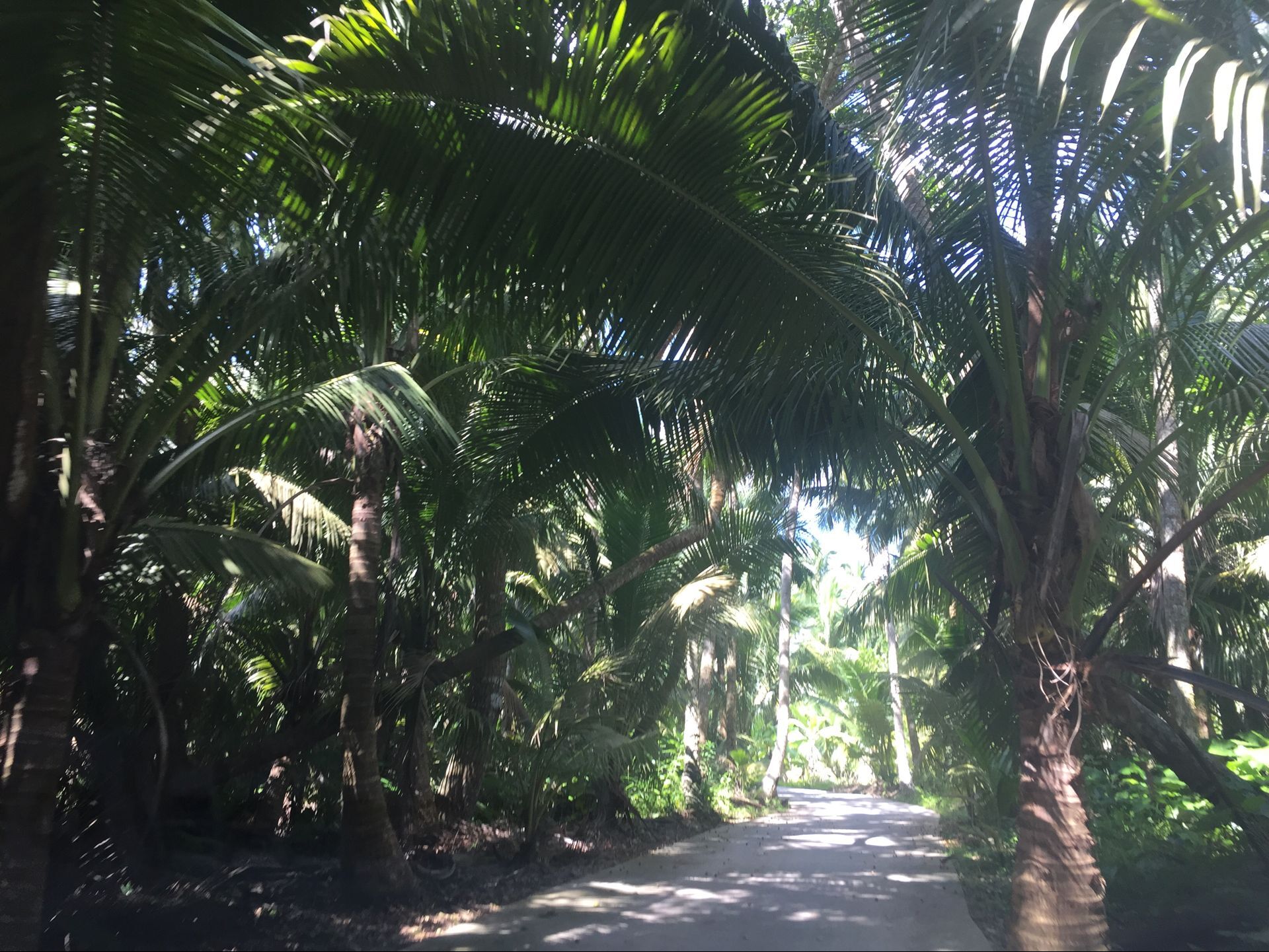 候鸟在海南过冬怎么在网上找房子,北方候鸟海南过冬