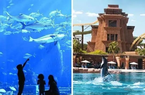 你不知道的高端酒店五大隐藏服务,看完终于明白为何一晚几千了