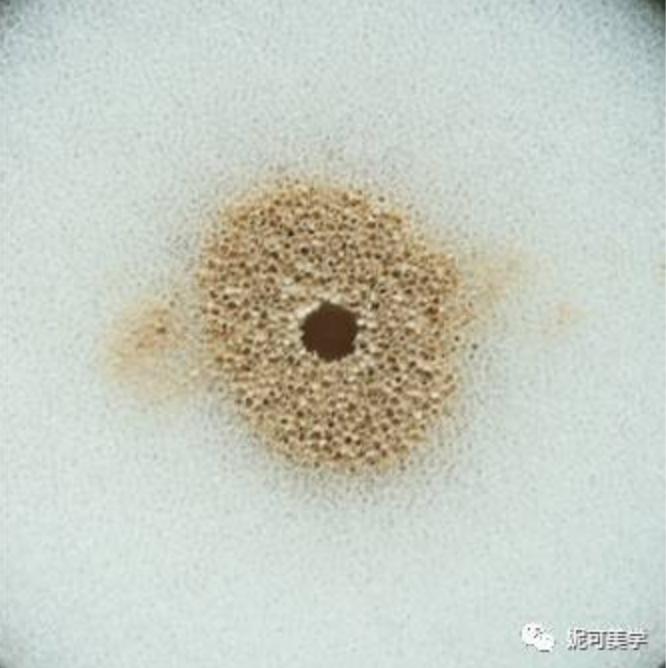 气垫粉底排行榜前十名欧美式气垫,日系好用的气垫粉底十大排名