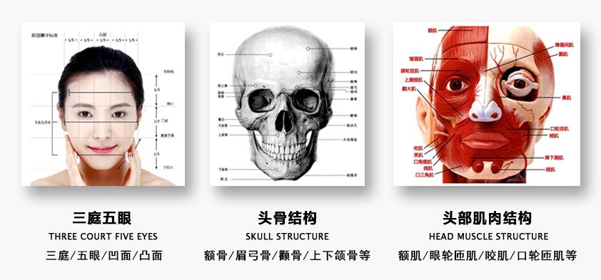 零基础画画指南快速学会绘画技巧,零基础超详细绘画教程