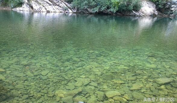 钓猪的方法和技巧,钓鬼婆鱼技巧