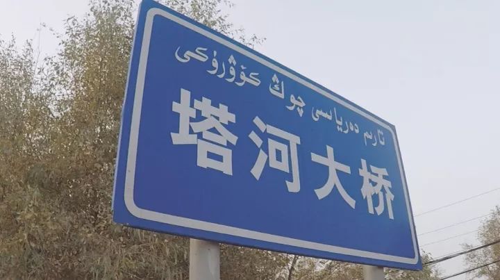 库尔勒的香梨能辨“雌雄”，塔克拉玛干沙漠的胡杨林经历天使之吻