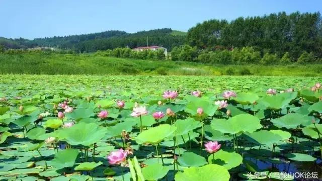 真正的马鞍山照片,马鞍山到底是哪儿的