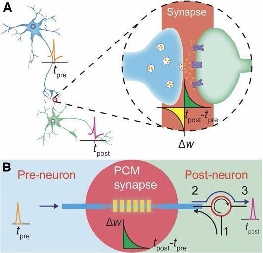 最新生物科技疫苗突破,中国科学家发现新型抗病毒药物