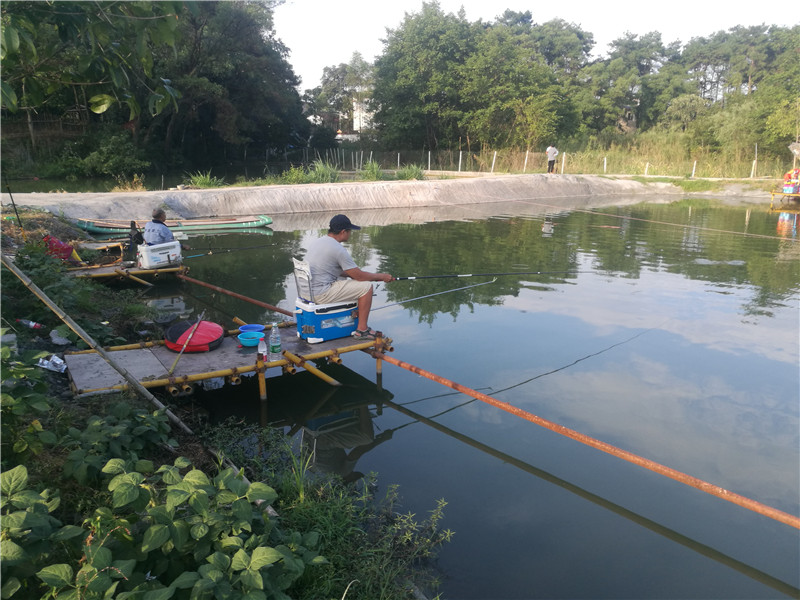 桂林象山区钓鱼黑坑,广西桂林钓鱼黑坑