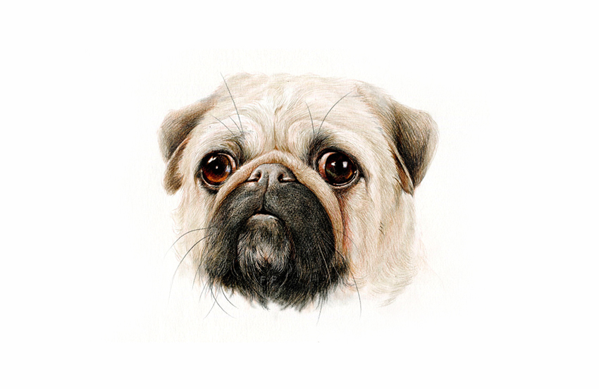 零基础画画指南快速学会绘画技巧,零基础超详细绘画教程