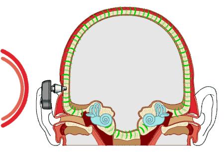 v课堂实景,v课堂操作指南