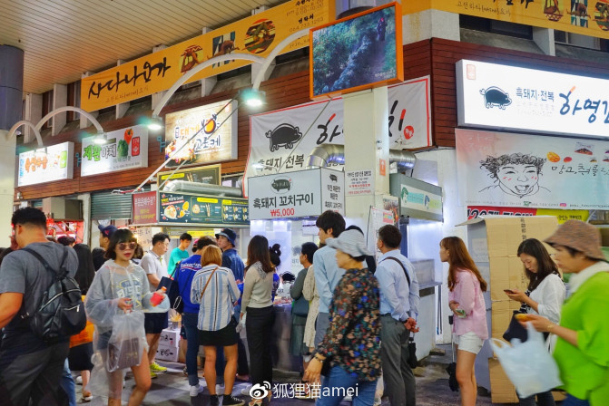 济州自由行,济州岛游记推荐