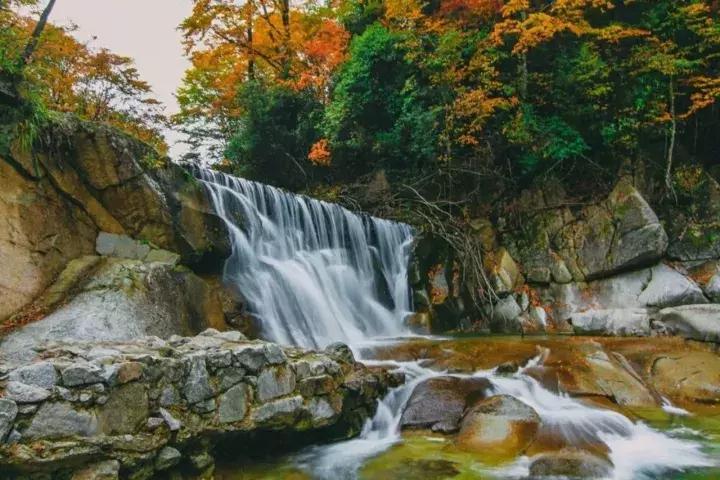 成都乐山红叶彩林,四川红叶彩林旅游节