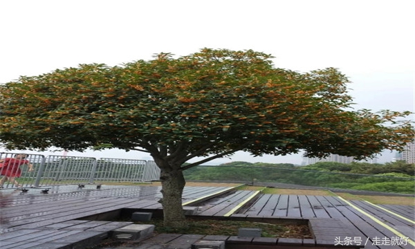 中国最好创业城市排行榜前十名,中国最适合创业的城市排名