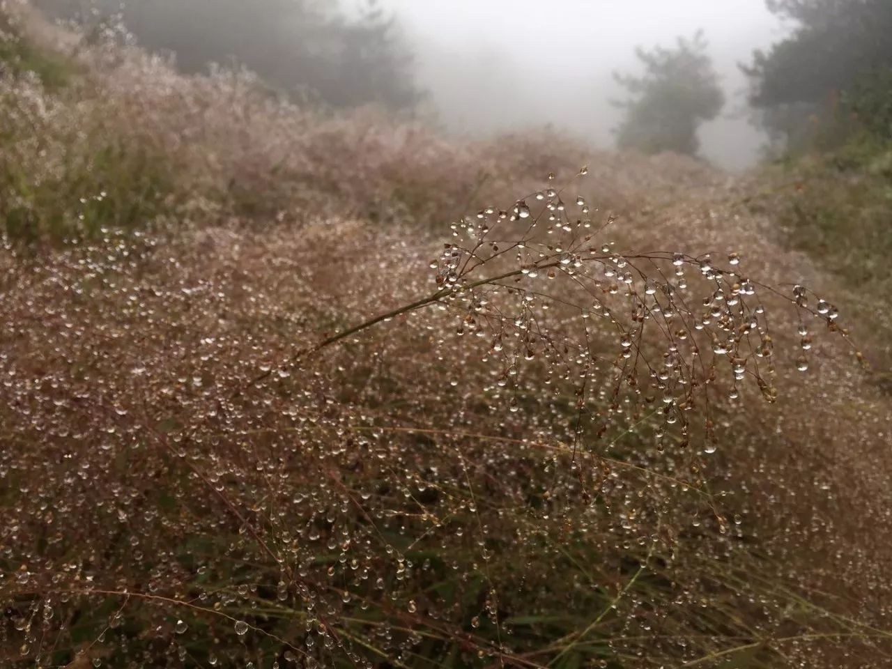 齐云山旅游攻略,齐云山深度游攻略