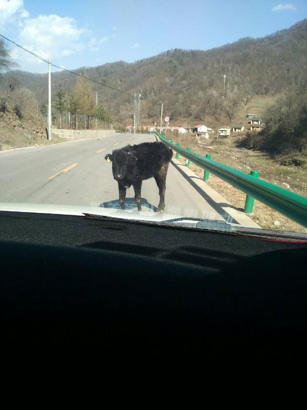 宝骏560主驾驶室玻璃异响,宝骏560底盘咯噔咯噔异响