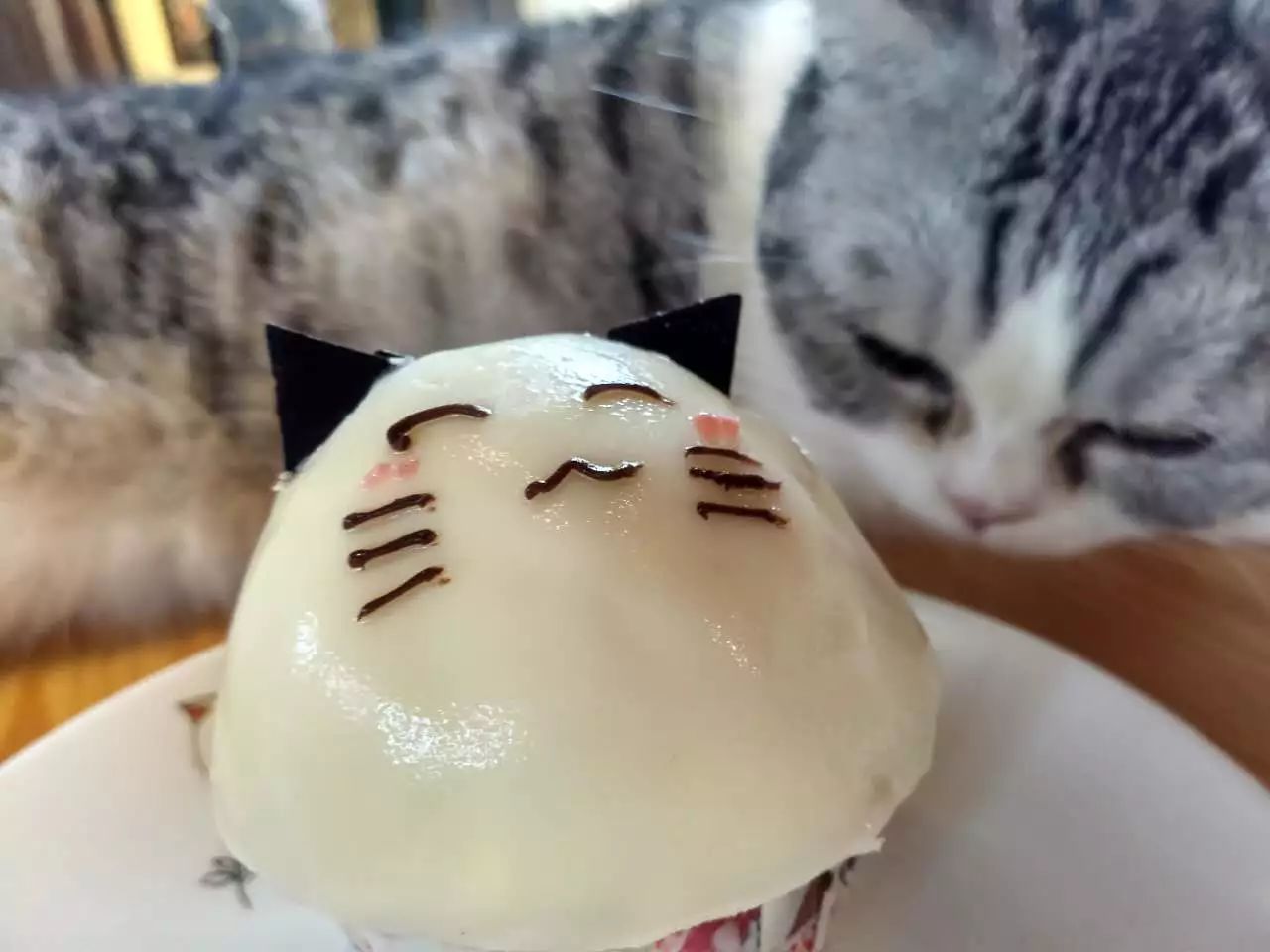 吸猫真的能上瘾吗如何戒瘾,云吸猫有哪些好处