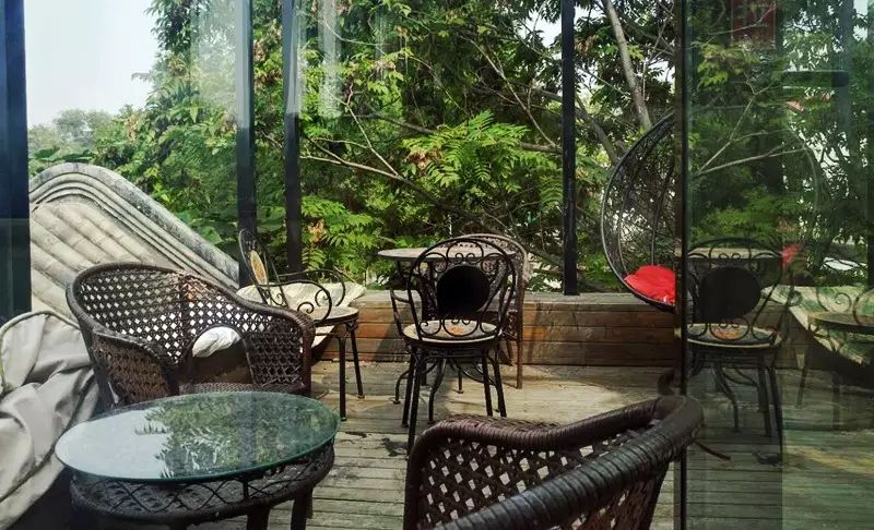 吸猫真的能上瘾吗如何戒瘾,云吸猫有哪些好处