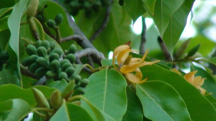 每个人都要经历的必经之路 (每个人所走的路都是必经之路)