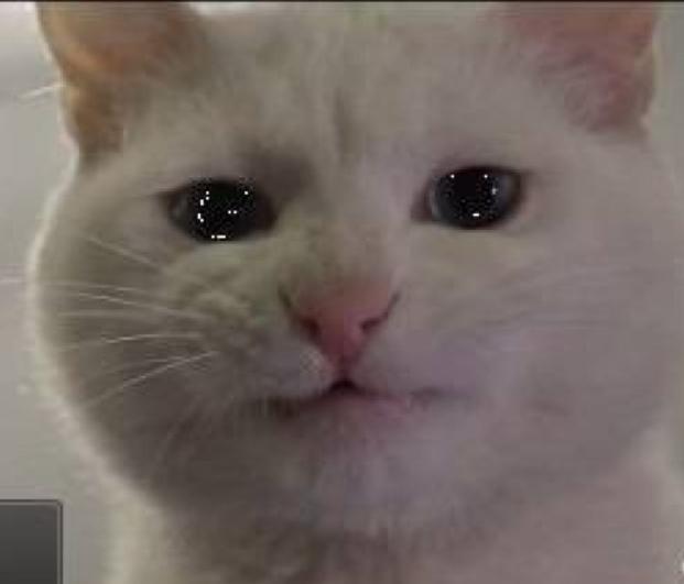 足球世界里的温情时刻,足球里的世界