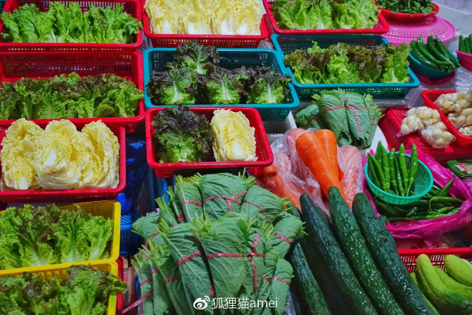 济州自由行,济州岛游记推荐