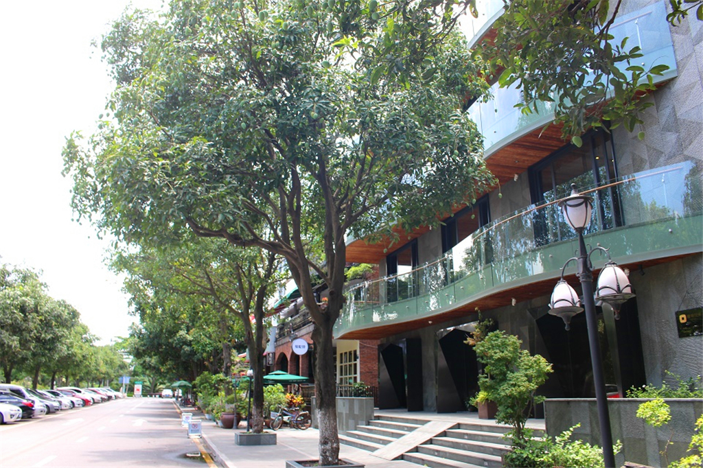 还有一座优美的小岛鼓浪屿,无敌景色厦大鼓浪屿