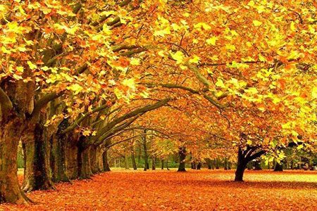 入秋是养瘦最好时机！做对6件事让你轻松燃脂