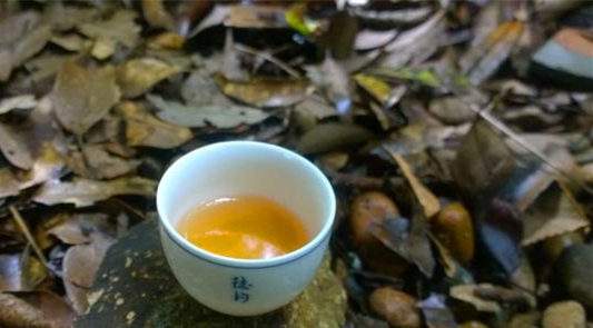 春茶夏茶秋茶普洱茶的价格对比,普洱茶是春茶好还是秋茶好