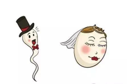 怎么自测是不是输卵管堵塞,自测输卵管堵塞妙招