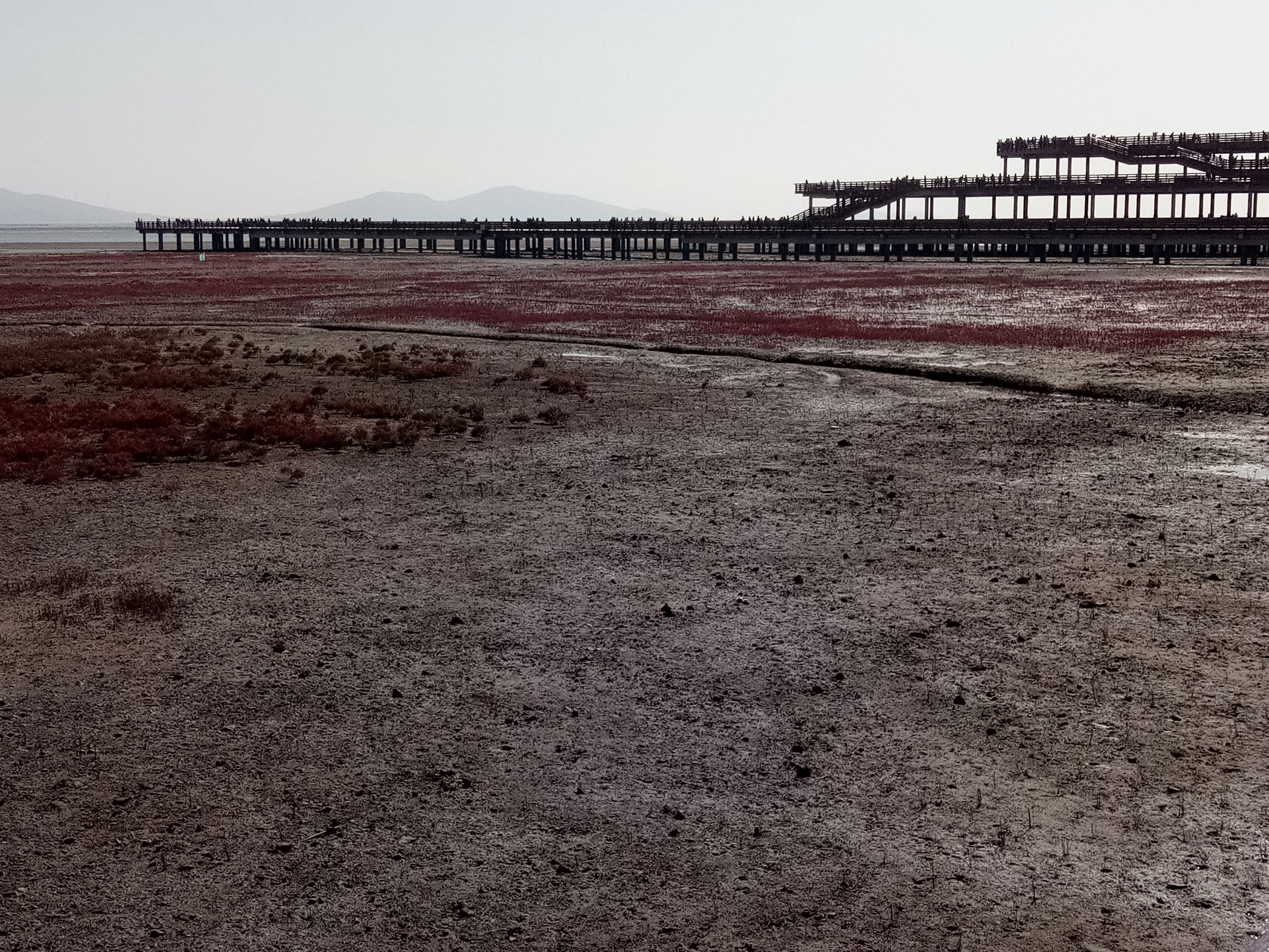 葫芦岛兴城红海滩几月最好,葫芦岛红海滩风景视频