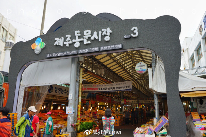 济州自由行,济州岛游记推荐