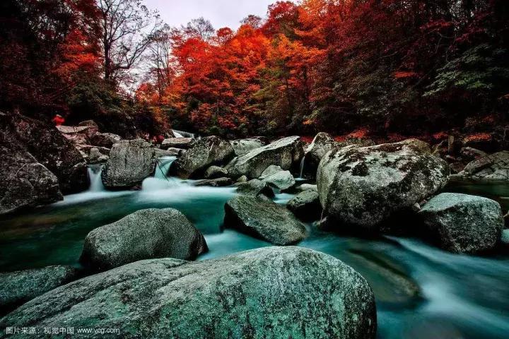 成都乐山红叶彩林,四川红叶彩林旅游节
