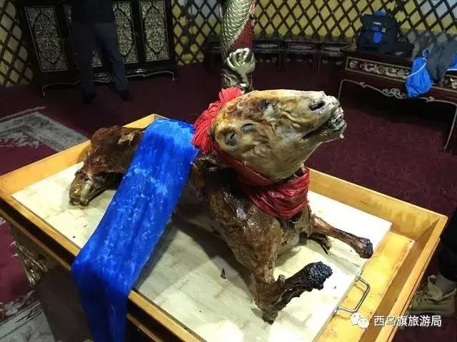 去了内蒙为什么敬酒三杯,哈达怎么接,马奶也是良药?