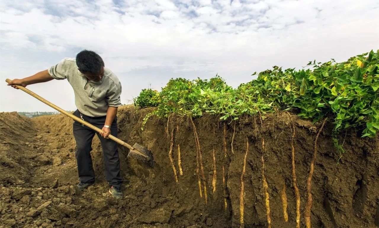 比某宝还便宜的东西,比某宝还省钱的视频