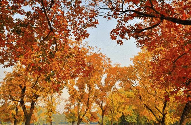 长春冬季最美拍照地,长春有一个很适合拍照的地方