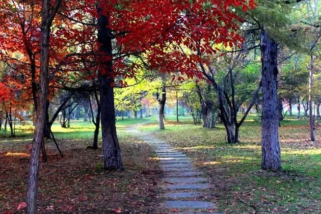 长春冬季最美拍照地,长春有一个很适合拍照的地方